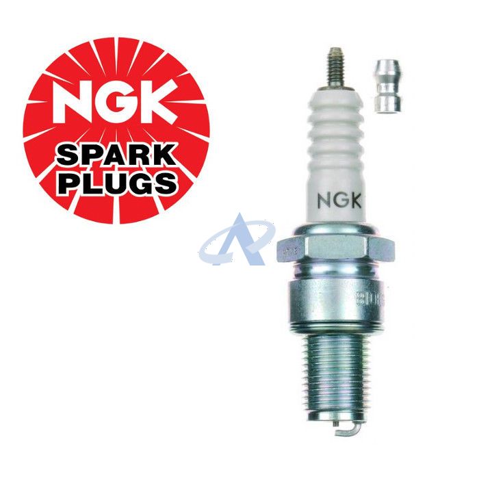 NGK B10EG (3630) Candela