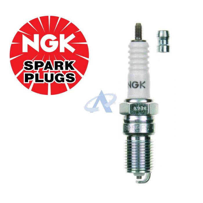 NGK BP6EFS (3812) Candela