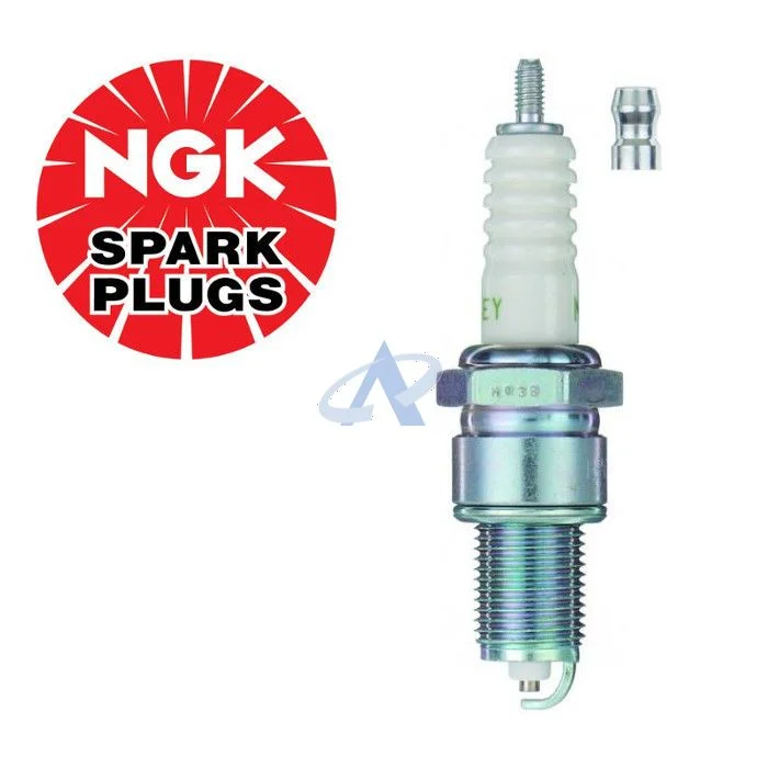 NGK BP6EY (7727) Candela