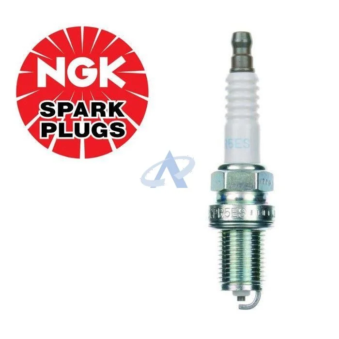 NGK Candela per BRIGGS & STRATTON OHV Intek, Vanguard Motori [#992304]