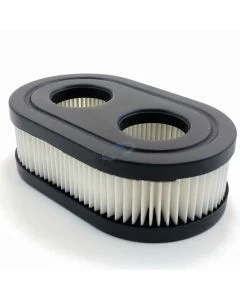 Filtro Aria per BRIGGS & STRATTON 550E, 550EX Serie di Motori [#798452, #593260]