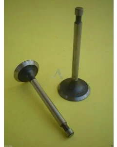 Valvola Aspirazione & Scarico per CUB CADET 420, 430, 431, 640, 641, 642 M48-HN, M54-HN