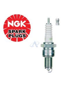 NGK BP5EY (7327) Candela