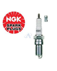 NGK BP6EFS (3812) Candela