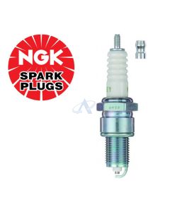 NGK BP6EY (7727) Candela