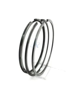 Serie Segmenti Pistone per SLANZI DVA1800, DVA2700, DVA3600 (100mm) STD [#469088]