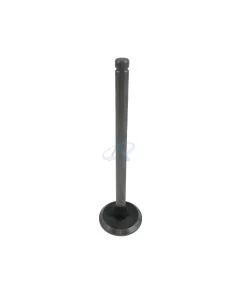 Valvola Aspirazione per DEUTZ (KHD) F1L/F2L/F3L/F4L/F5L/F6L 812, 912, BF6L 912, 913